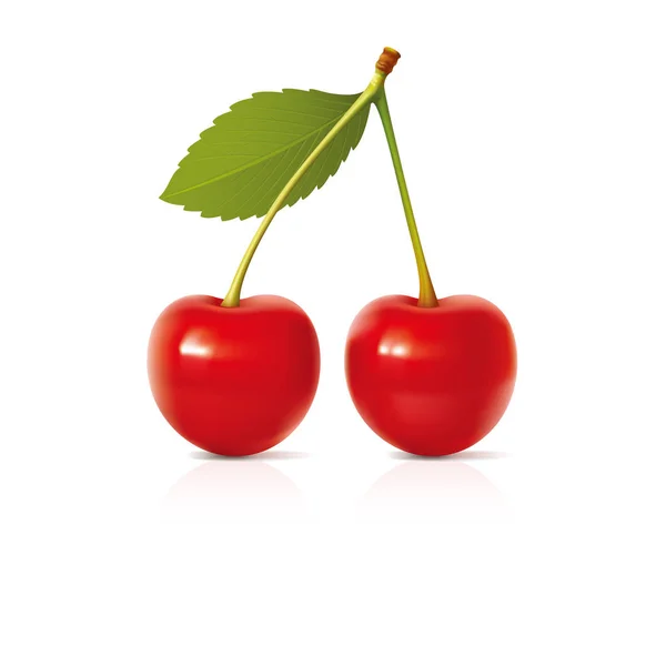 Cherry Modello Disegno Vettoriale Illustrazione — Vettoriale Stock