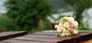 bir bankta beyaz çiçekler