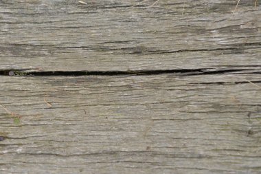 eski ahşap doku arkaplanı