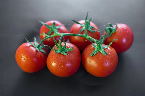 Ντομάτες Στο Αμπέλι — Φωτογραφία Αρχείου