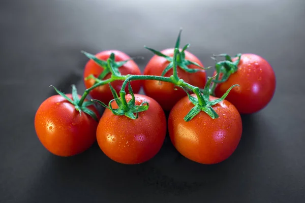 葡萄藤上的番茄 — 图库照片
