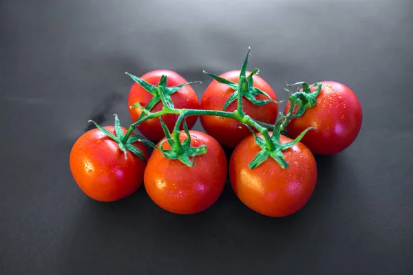 Νωπές Ντομάτες Στο Αμπέλι — Φωτογραφία Αρχείου