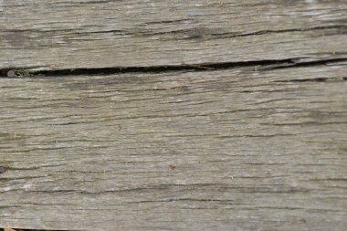  eski ahşap doku arkaplanı