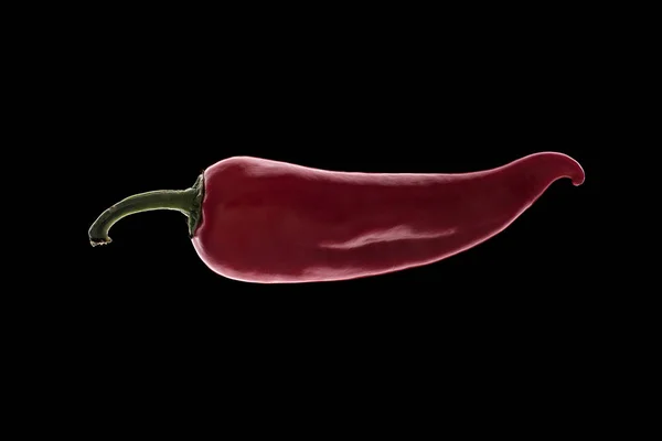 Red Hot Pepper Black Background — Stock Photo, Image