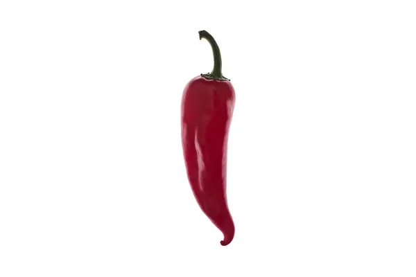 Red Chili Peppers Isolated White Background — Stock Photo, Image
