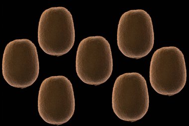  siyah arka plan üzerine izole kivi