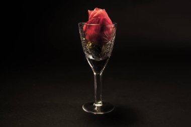  kadeh şarap ve gül