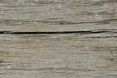 doğal ahşap doku ile arka plan