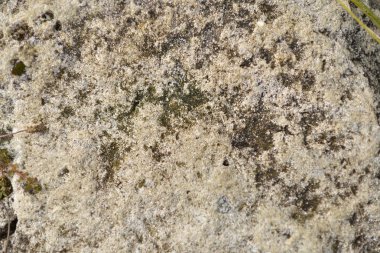 taş ve mermer arka plan