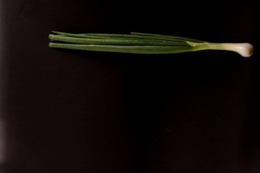  Siyah arkaplanda yeşil soğan