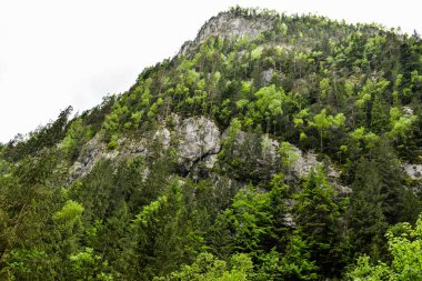  dağ manzarası ve gökyüzü arka plan
