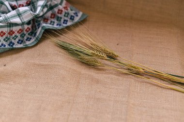  arka planda arpa baharat