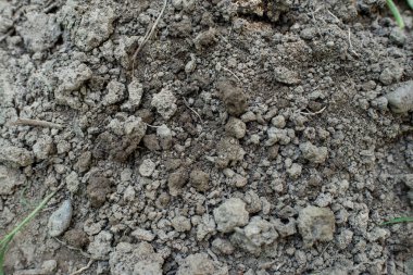 toprak dokusu ile arka plan