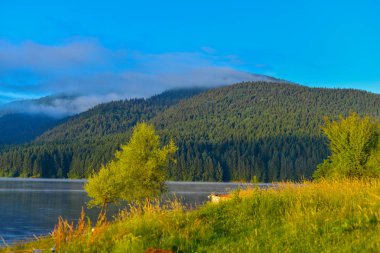 Göl ve dağlarla kaplı manzara
