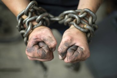 insan tarafından yetiştirilen eller