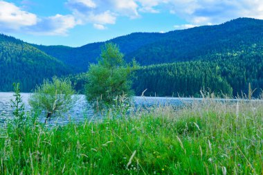 göl ve dağ ile manzara