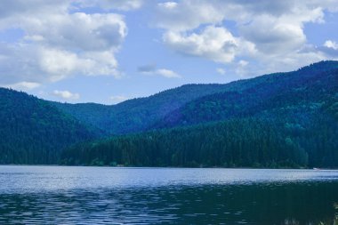 Göl ve ormanlı dağ manzarası