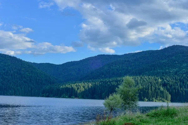 湖や森のある山の風景 — ストック写真