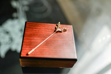  arka planda kravat iğnesi