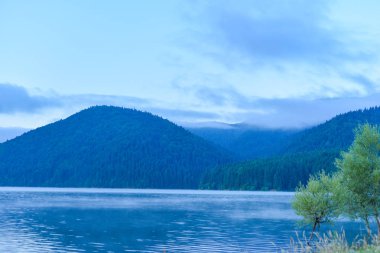 dağ gölü ve orman ile manzara