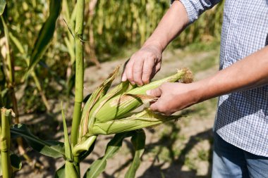  bitki elinde tutan adam
