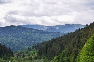  Ağaçlar ve bulutlarla kaplı dağ manzarası