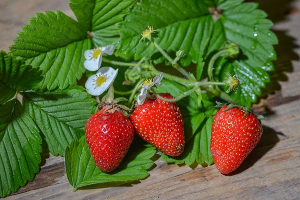 Fresas Mesa Madera —  Fotos de Stock