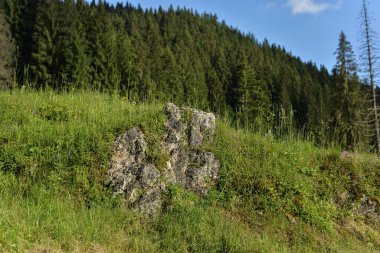  Arkasında gökyüzü olan dağ manzarası