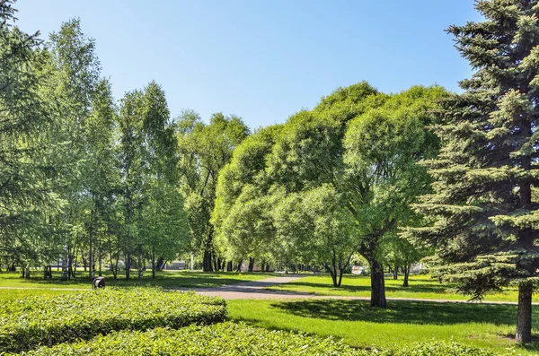 城市公园的春天风景 一个大工业城市的绿色角落 在明亮的晴天 在不同的阴凉落叶和针叶树和灌木之间的走道 — 图库照片