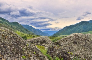 Altai Dağları 'nın dağ vadisinde yosun ve liken ile kaplı kayalar, Rusya-bulutlu havalarda güzel bir yaz manzarası