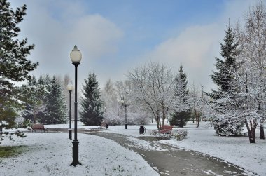 Sessiz sokak fenerler, tezgahları, köknar ve çam - güzel kış kentsel peyzaj karla kaplı Şehir Parkı