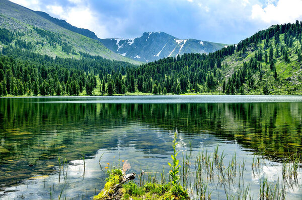 One from seven cleanest mountain Karakol lakes, located in the valley, at the foot of the Bagatash pass, Altai Mountains, Russia. Coniferous forests and clouds reflected in cold water - summer landscape