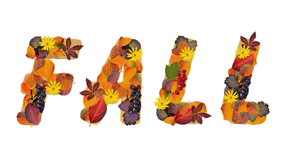 Daling Van Word Samengesteld Uit Heldere Kleurrijke Herfst Bladeren Van — Stockfoto