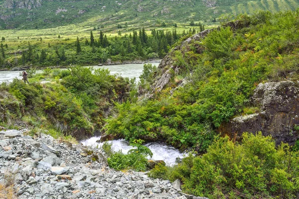 Mountain Creek Pod Klifami Wśród Głazów Wpadając Rzeki Katun Górach — Zdjęcie stockowe