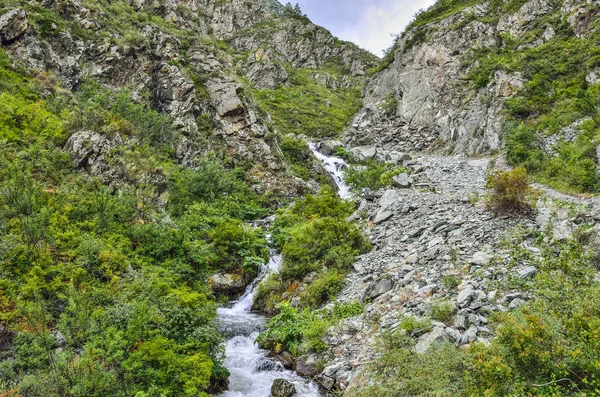 Gebirgsbach Fließt Unter Klippen Der Schlucht Zwischen Felsbrocken Altai Gebirge — Stockfoto