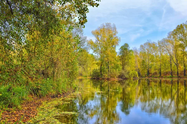 Bunte Herbst Sonnige Landschaft Seeufer Mit Reflexion Des Blauen Himmels — Stockfoto