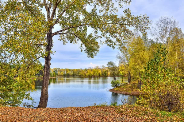 Bunte Herbst Sonnige Landschaft Seeufer Mit Reflexion Des Blauen Himmels — Stockfoto