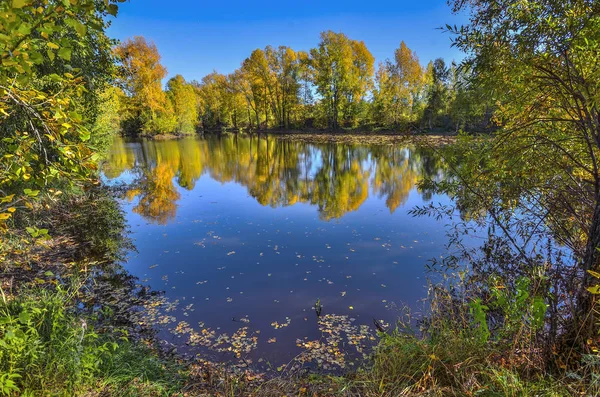 Follaje Dorado Árboles Caídos Alrededor Del Lago Reflejado Agua Azul —  Fotos de Stock