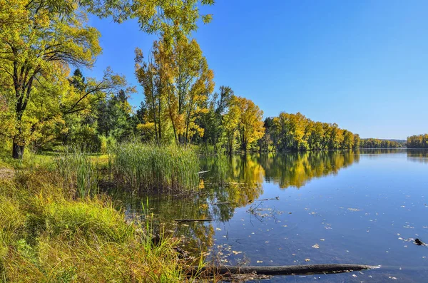 Altın Yapraklar Sonbaharda Ağaçların Göl Yakınındaki Mavi Sıcak Güneşli Eylül — Stok fotoğraf