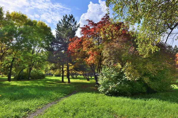 城市公园与红罗恩的五彩缤纷的秋景 — 图库照片