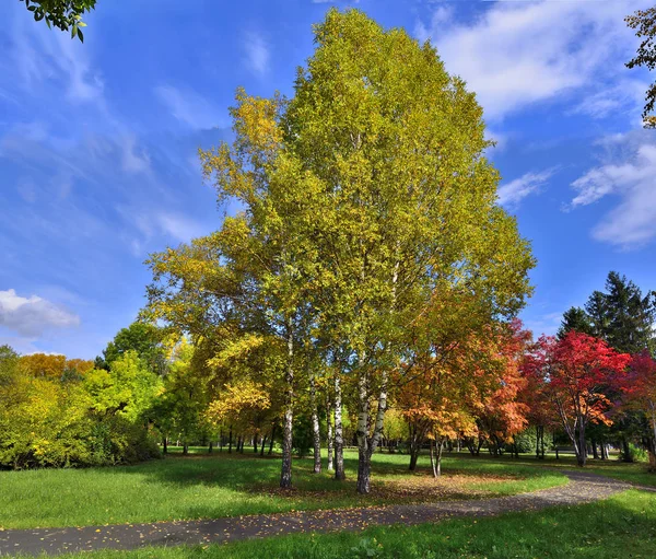 秋天城市公园的舒适的角落与路通过草坪在树之间以多彩多姿的叶子和红色罗恩树 秋天风景在明亮的晴朗的天以蓝天 — 图库照片