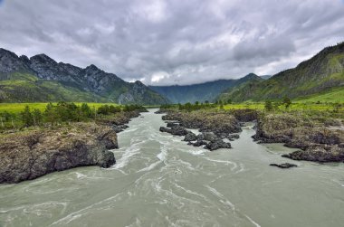 Yaz manzara Katun hızlı dağ Nehri'nin Teldykpen rapids köyü Oroktoy, Altay Dağları, Rusya yakın. Burası dağ nehir dar ve en derin yeri