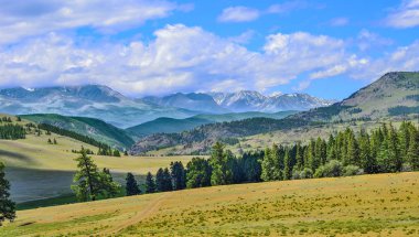 Kuzey Chuya ridge veya Severo-Chuiskii Aralık - zinciri Altay Cumhuriyeti, Rusya Federasyonu - dağ dağ manzarası Chuya bozkır, ön plan ile yaz