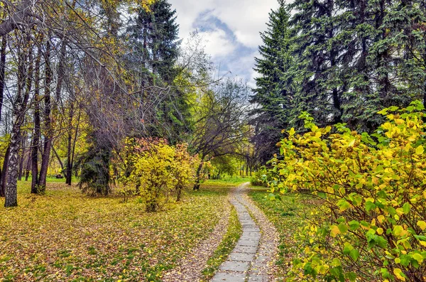 Paseo Parque Ciudad Otoño Con Follaje Multicolor Árboles Arbustos Coníferas — Foto de Stock