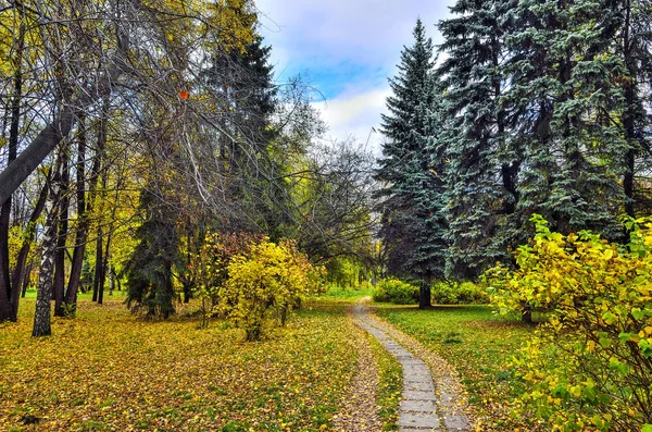 Paseo Parque Ciudad Otoño Con Follaje Multicolor Árboles Arbustos Coníferas — Foto de Stock