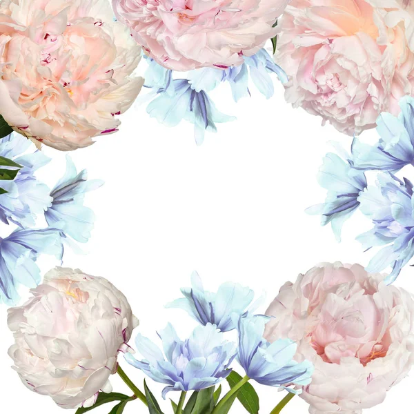 Schöne Zarte Pastellfarbene Blumengestell Mit Rosa Pfingstrosen Und Blauen Tulpenblüten — Stockfoto