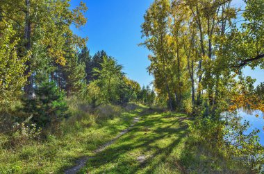 Güneşli Eylül peyzaj göl kıyısında sıcak. Mavi gökyüzü ve altın yapraklar ağaçların su yüzeyi - sonbahar doğa güzelliğini yansıtıyordu. Derma ağaçların altında patika üzerinde uzun gölgeler 