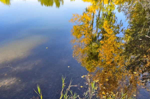 Herfst Gouden Gebladerte Van Bomen Blauwe Hemel Met Licht Wolken — Stockfoto
