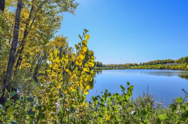 Güneşli Eylül Peyzaj Göl Kıyısında Sıcak Mavi Gökyüzü Altın Yapraklar — Stok fotoğraf