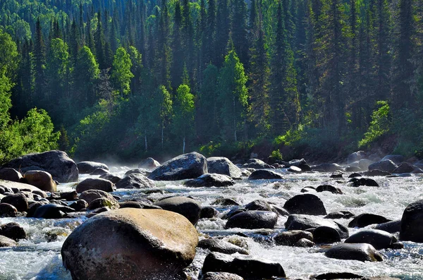 Mattina Nebbia Enormi Massi Veloce Scorrimento Ribollente Spruzzando Fiume Montagna — Foto Stock